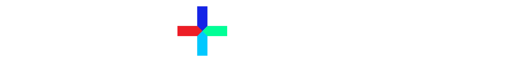 Reo Group