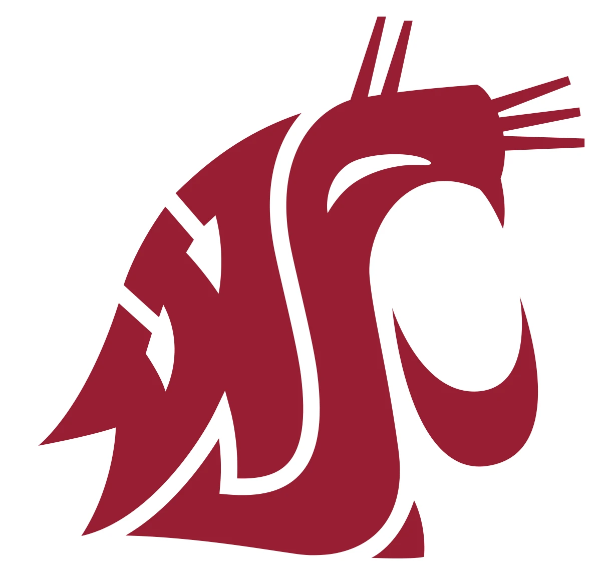 Washington State University