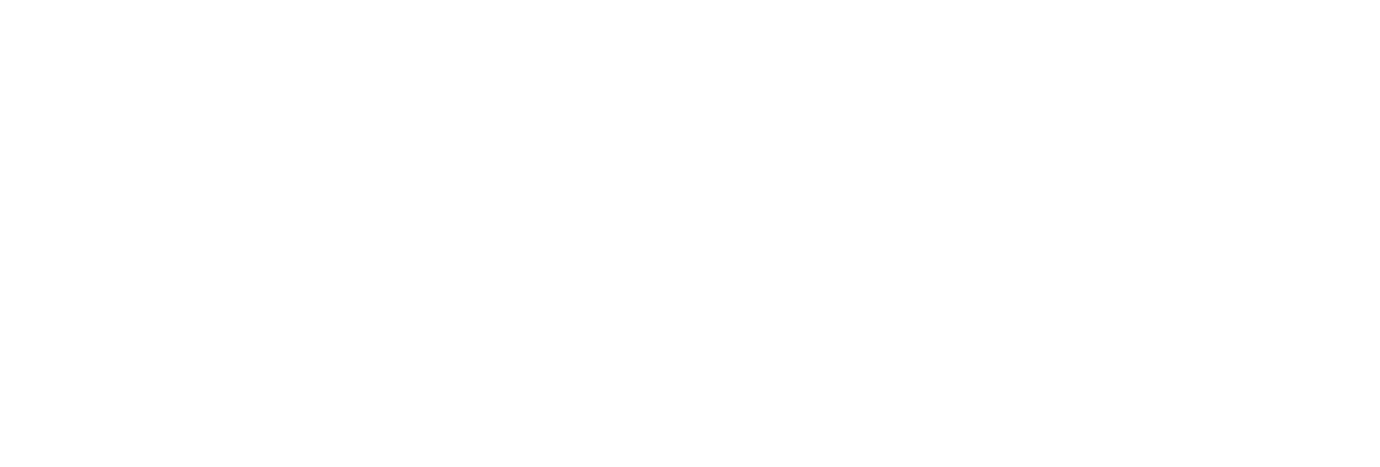 Youth Advocate Programs