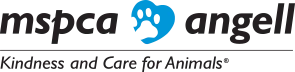 MSPCA-Angell Careers