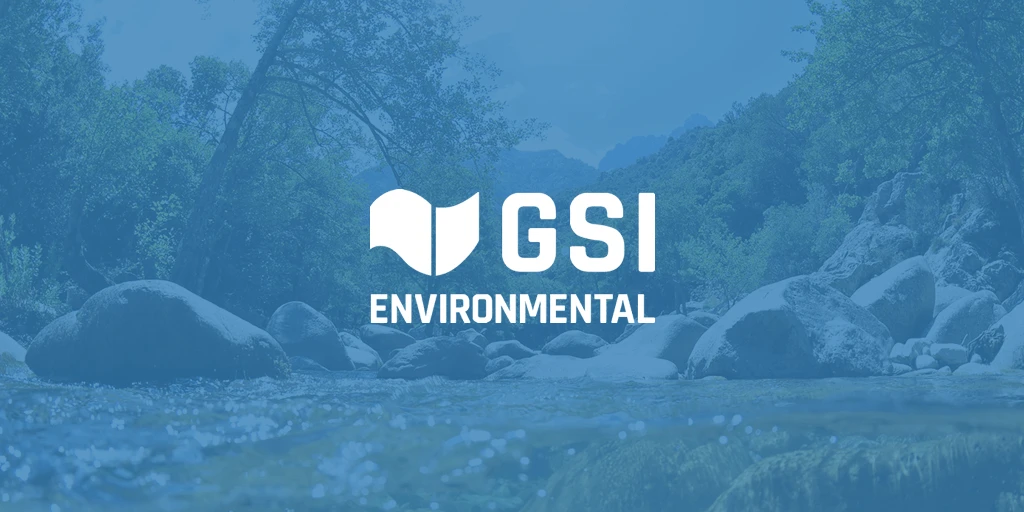Gsi Environmental