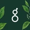 Holistic Industries