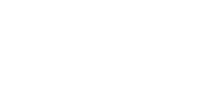 Zoic Studios