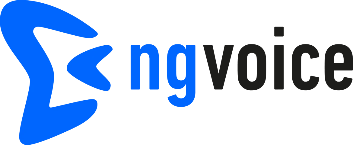 Ng-voice