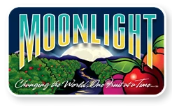 Moonlight Companies