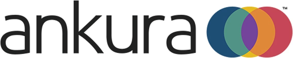 Ankura Consulting Group