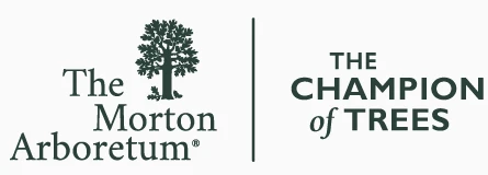 The Morton Arboretum