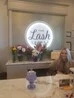 The Lash Lounge Chesterfield
