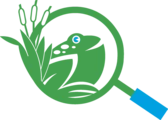 Odc Network