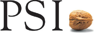 Psi Software Se
