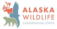 Alaska Wildlife Conservation Center
