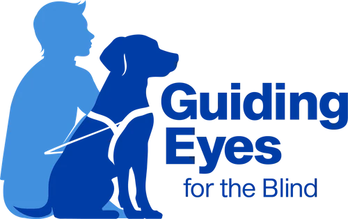 Guiding Eyes For The Blind
