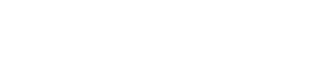 Msi Mold Builders
