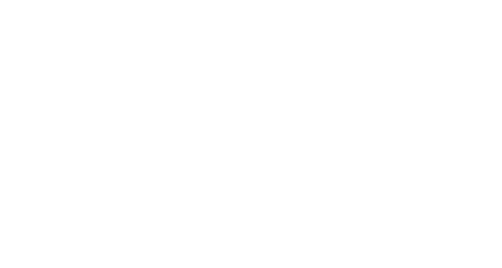Loud Audio