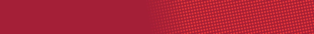 Trustees Of The Hamline University Of Minnesota