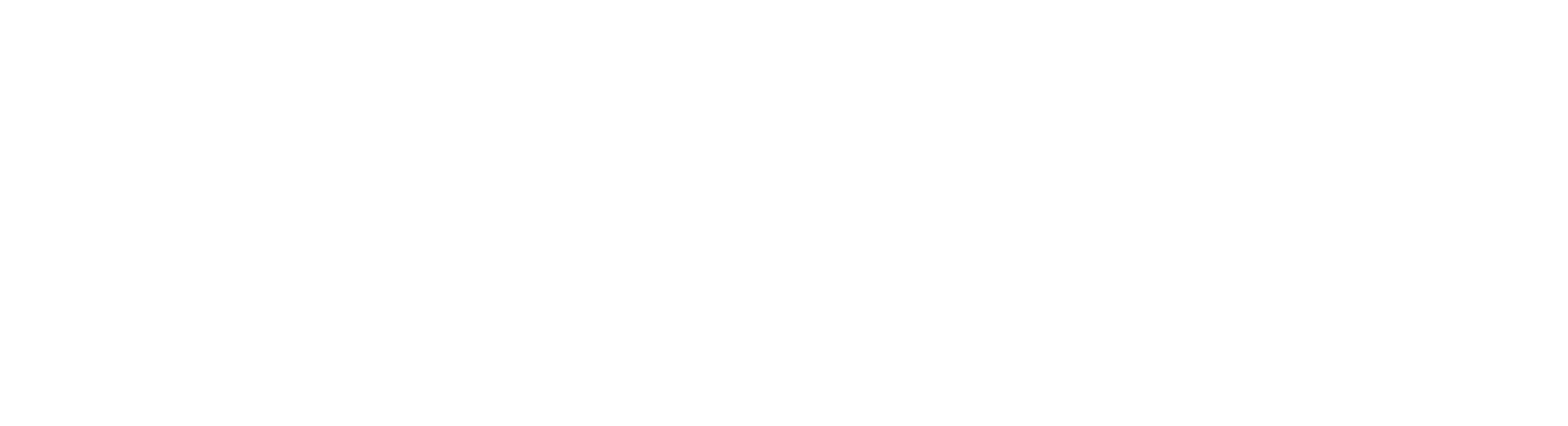 2025 Ace