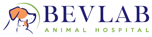Bevlab Animal Hospital