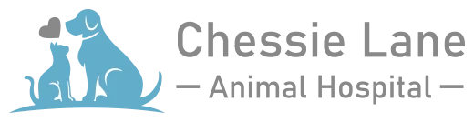 Chessie Lane Animal Hospital