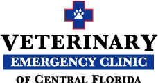 Veterinary Emergency Clinic Of Central Florida