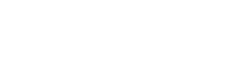 Optics11