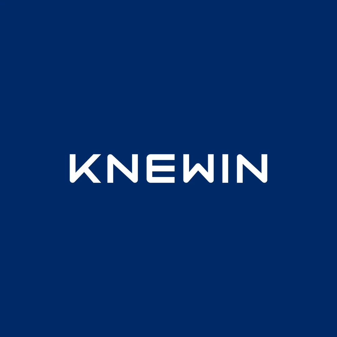 Knewin