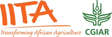 Iita