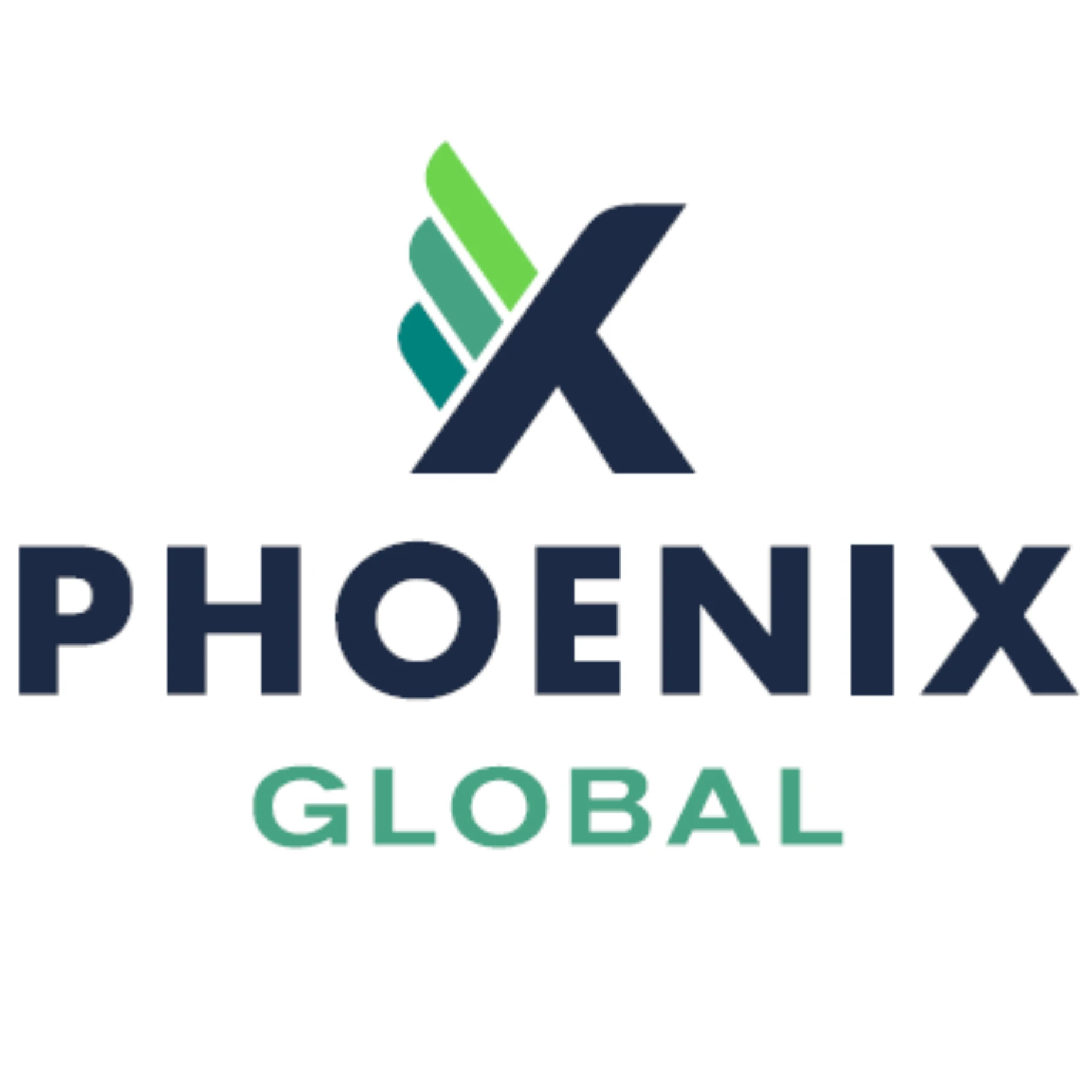 Phoenix Global _ Br