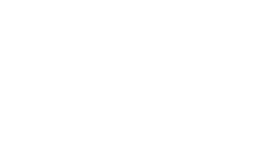 Everest Group