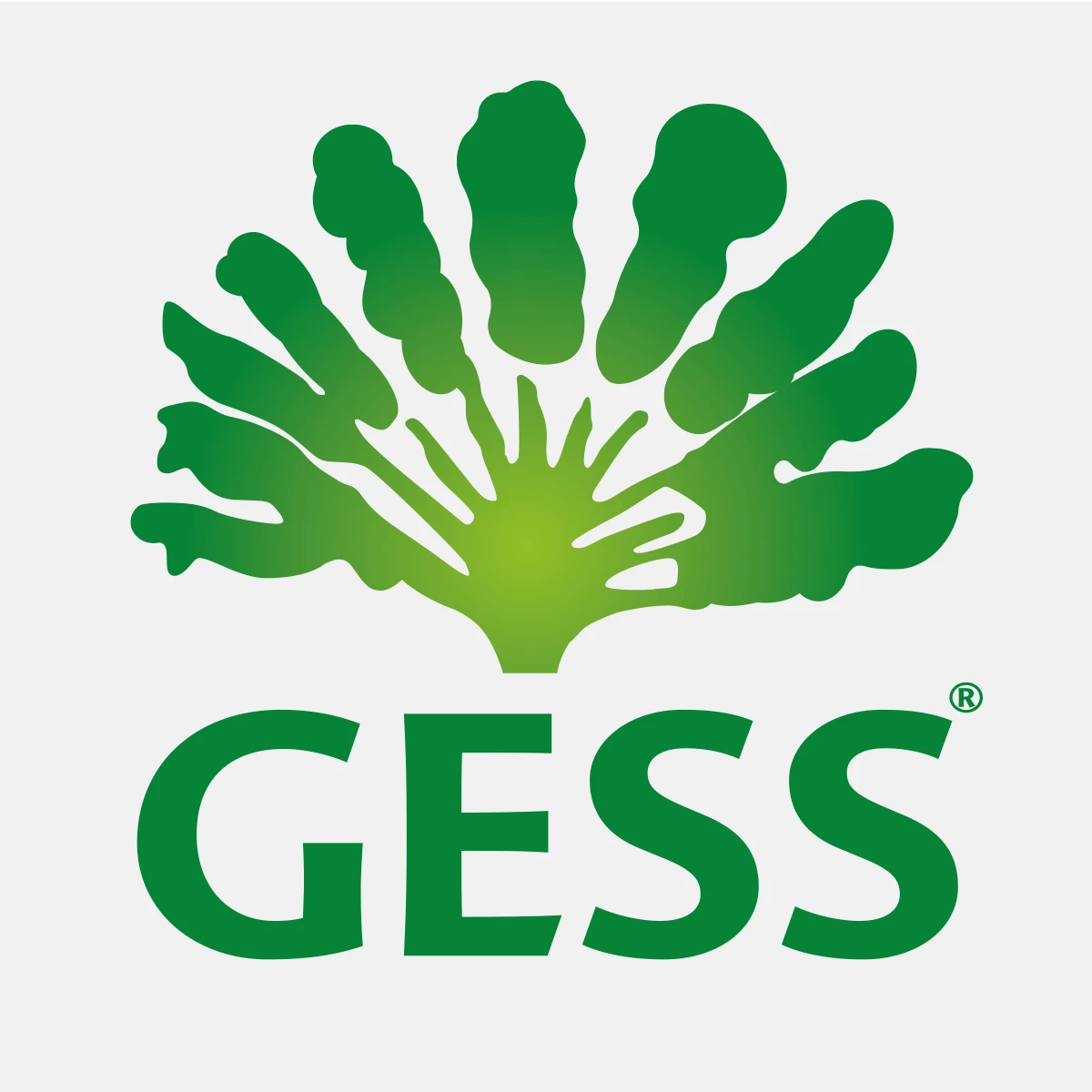 Gess