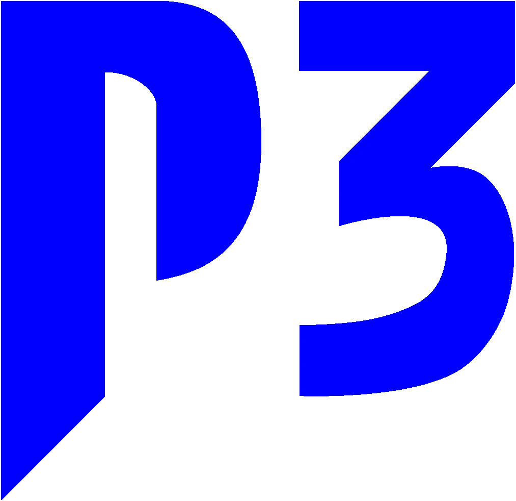 P3 Usa