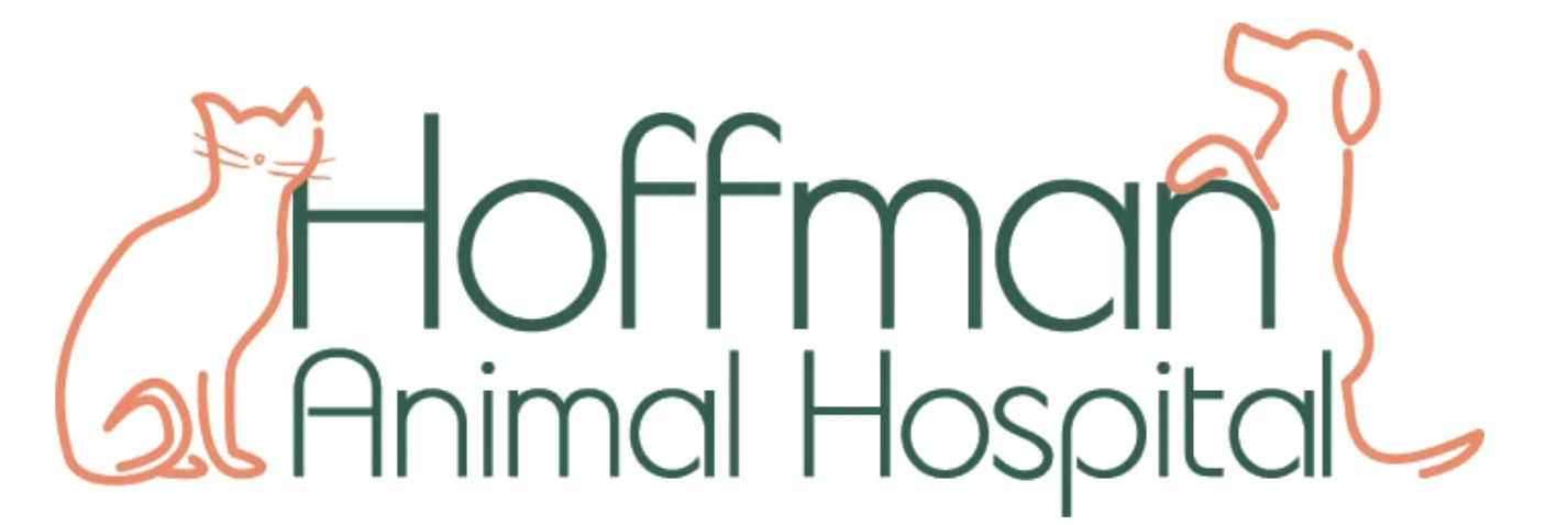 Quality Veterinary Care In The Greater Annapolis Area