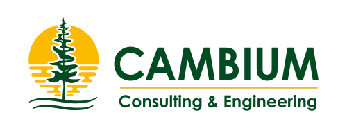 Cambium