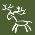 New Forest Care