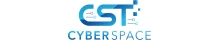 Cyber Space Technologies Llc