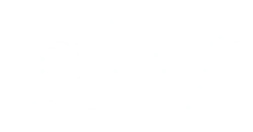 Community Action Agency Of Somerville