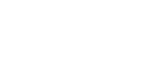 The Mcguire Group