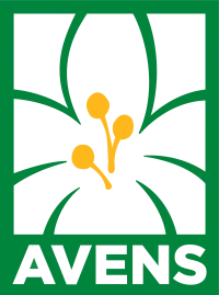 Avens