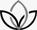 Abans & Company Limited