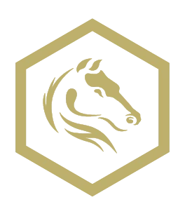 Darkhorse Emergency