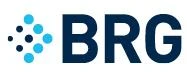 Berkeley Research Group