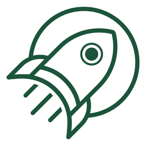 Vaga Para Senior Manager Google Paid Media Na Launch Potato