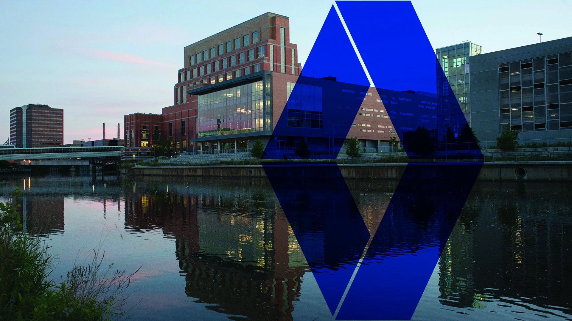 Blue Cross Blue Shield Of Michigan