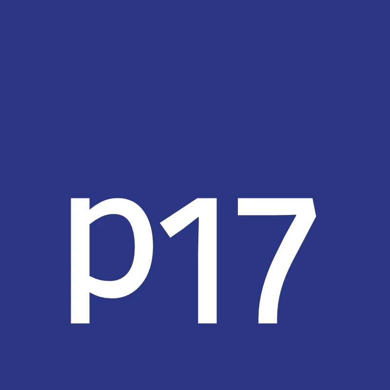 p17 Consulting GmbH