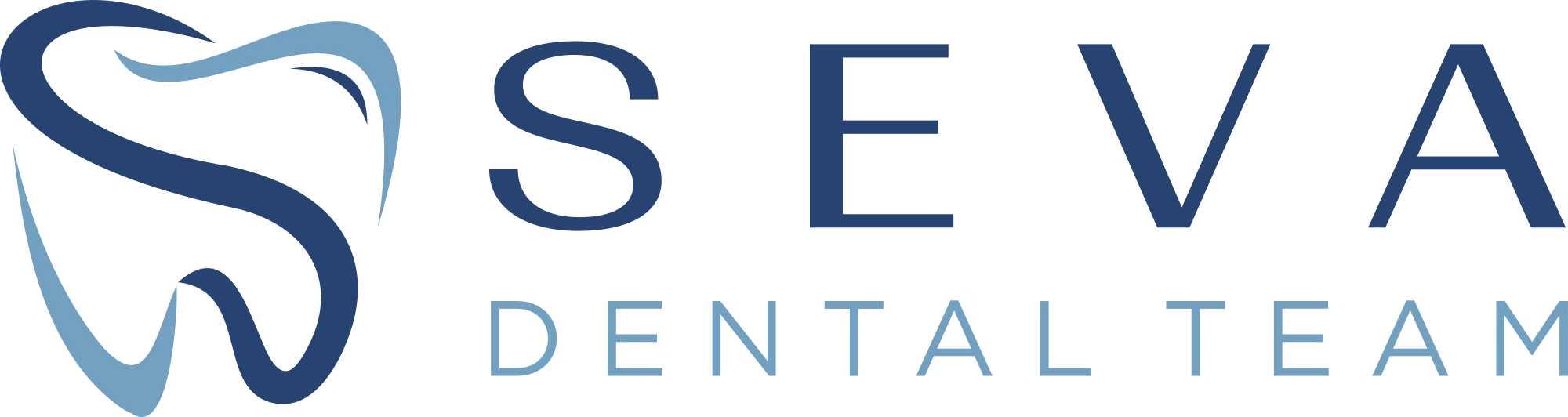 Seva Dental Team