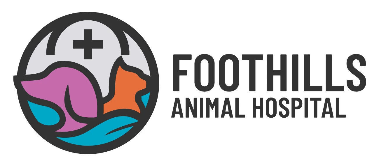Foothills Animal Hospital