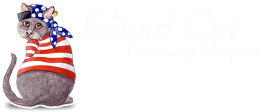 The Sound Cat Veterinary Hospital