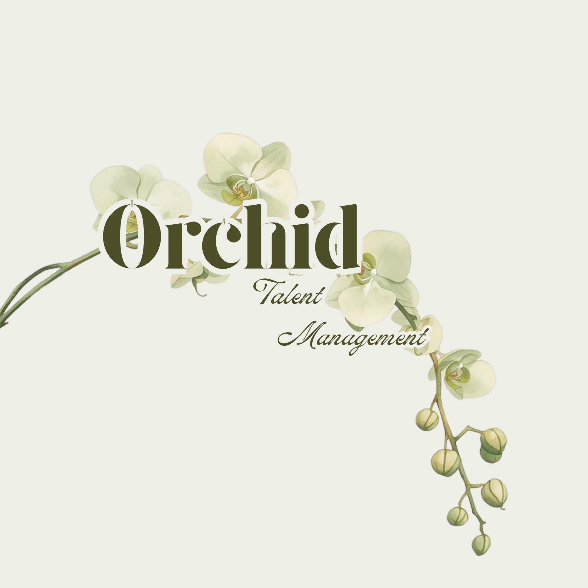 Orchid Talent Management