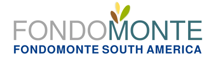 Fondomonte South America Sa