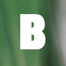 Brinell Group Gmbh & Co Kg