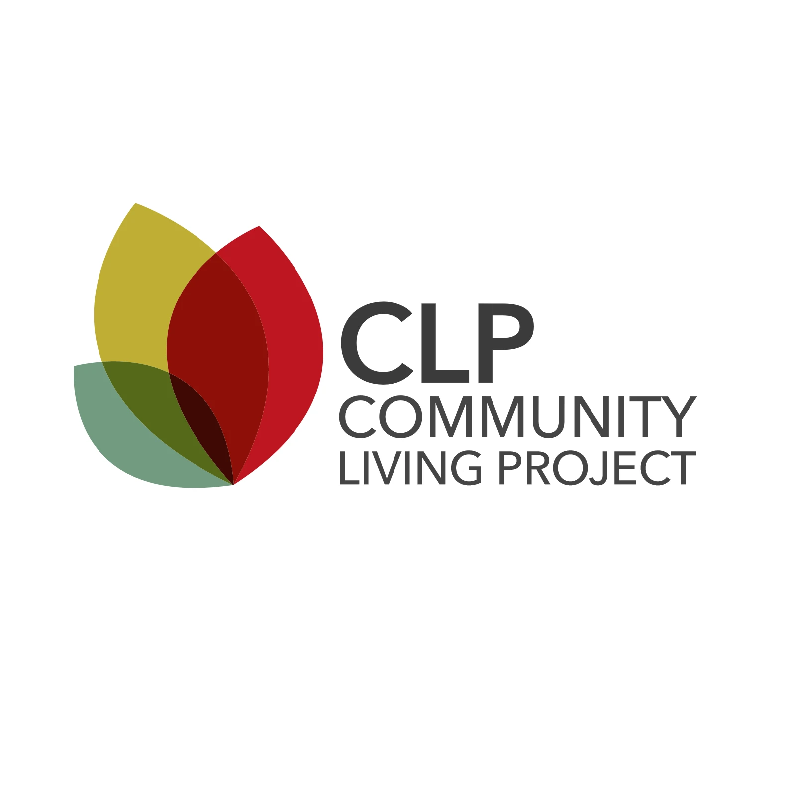 Community Living Project